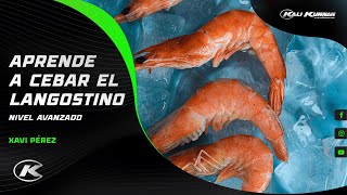 Aprende a cebar el langostino  Nivel Avanzado [upl. by Malamud]