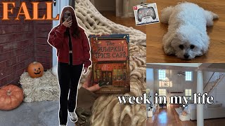 FURNISHED HOUSE TOUR CLOTHING HAUL amp FUN FALL ACTIVITIES  Kenzie Scarlett [upl. by Mcfarland]