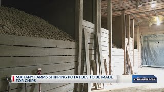 Arkport farm grows potatoes to make chips [upl. by Townshend761]