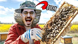 मधुमक्खियों ने किया खतरनाक हमला  Dangerous Bee Hive Exploration Adventure🥵 Do Not Try [upl. by Akym]