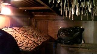 making beef  deer jerky in a south texas smokehouse [upl. by Ahsemik]