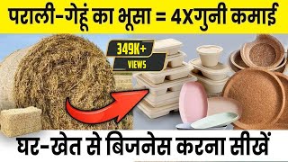 परालीभूसा से biodegradable items बनाना सीखें  Wheat Straw  Rice Straw  Parali  agri business [upl. by Bearce387]