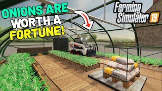 THESE ONIONS ARE GOLD WE ARE RICH  Purbeck Valley Farm Farming Simulator 19  Episode 25 [upl. by Halpern]