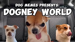 DOG MEMES TO DOGNEY WORLD PT1 [upl. by Anoniw921]