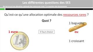 Les économistes les sociologues et les politistes se posent des questions différentes [upl. by Einon944]