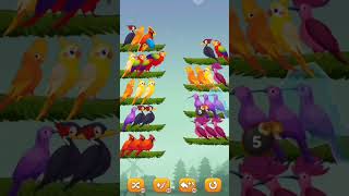 cute birds short cutebirds bhojpurisong shortviral trendingshorts youtubeshorts ytshorts bird [upl. by Anom]