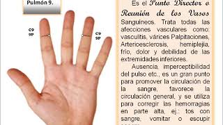 LOS 8 PUNTOS PRINCIPALES DE ACUPUNTURA EN LA MANO [upl. by Harrell]