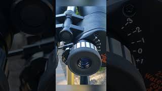 Celestron SkyMaster 25x100 binoculars review [upl. by Barbi]