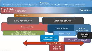 10920 Asthma phenotypes [upl. by Notsgnik]