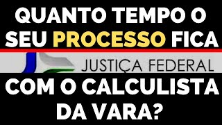 QUANTO TEMPO O SEU PROCESSO FICA COM O CALCULISTA DA VARA [upl. by Orlan]