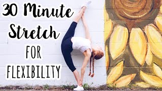 30 Minute Full Body Stretch for Flexibility [upl. by Bibby]