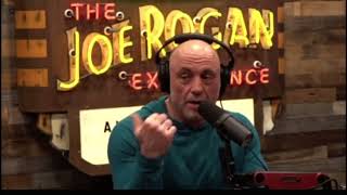 Theo on JRE with some mind blowing thoughts🤯🎯 [upl. by Hoxsie]