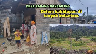 JELAJAH DESA DI PEDALAMAN HUTAN SUMATERA UTARA‼️PADANG MANDAILING TAPANULI SELATAN [upl. by Parry232]