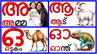 Learn Malayalam Vowels swaraksharanghal സ്വരാക്ഷരങ്ങൾMalayalam Alphabet Malayalam Aksharamala [upl. by Nrehtac401]