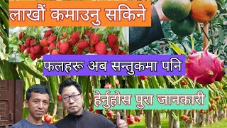 DRAGON FRUITORANGESTRAWBERRY काे खेती कसरी गरिन्छDRAGON FRUITORANGESTRAWBERRY कैसा लगाया जाए [upl. by Nerol]