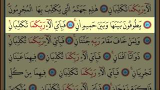 Surah ArRahman55 by Nasser Al Qatami Majestic RecitationRahman [upl. by Anetsirk]