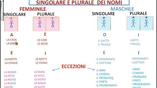 SINGOLARE E PLURALELEZIONE 10 [upl. by Clite]