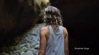 Exploring Carnarvon Gorge Carnarvon National Park 4K [upl. by Wiencke446]