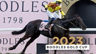 GALOPIN DES CHAMPS WINS THE BOODLES GOLD CUP [upl. by Nivak]