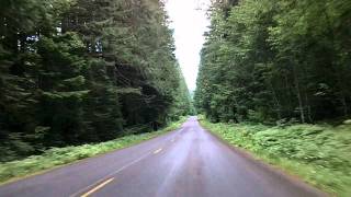 Into Mount Rainier National Park via Skate Creek Road time lapse drive [upl. by Amliw234]