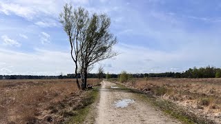 Gravel  MTB route Weelde  Landgoed De Utrecht  Neterselse Heide [upl. by Dionne]