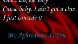 Katie Melua  My Aphrodisiac Is You lyric [upl. by Oneil827]