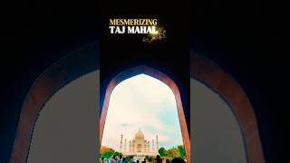 Taj Mahal 😍Monument of love tajmahal agra shorts youtubeshorts short trending ytshorts viral [upl. by Ellissa]