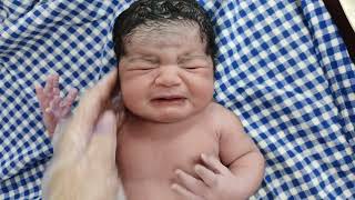 Chunky Newborn baby gets calmed after Doctor Love immediately after birth [upl. by Tace]