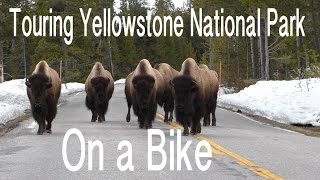 Bike Tour Through Yellowstone Sans Blake [upl. by Hennebery]