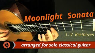 Beethoven  Moonlight Sonata 1st Movement arr Emre Sabuncuoglu [upl. by Columbus]