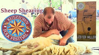 Expert Level Sheep Shearing at The Kutztown Folk Festival [upl. by Aisset]