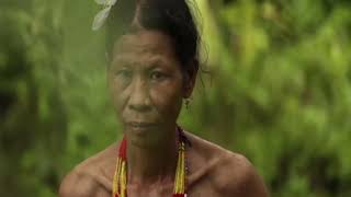 Things to learn about the Mentawai Tribe tribes indigenouspeoples [upl. by Maxentia]