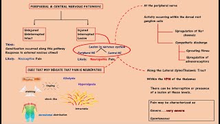 Pathophysiology of Pain Neuropathic Pain [upl. by Phillida]