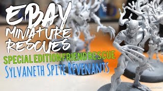 eBay Miniature Rescues  Sylvaneth Spite Revenants [upl. by Elesig375]