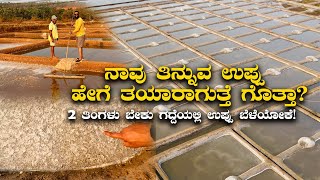 How salt is produced ನಾವು ತಿನ್ನುವ ಉಪ್ಪು ಹೇಗೆ ತಯಾರಾಗುತ್ತೆ ಗೊತ್ತಾ  Kannada Vlogs [upl. by Schwinn]