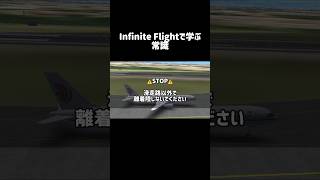 Infinite Flightで学ぶ常識 [upl. by Nivert]