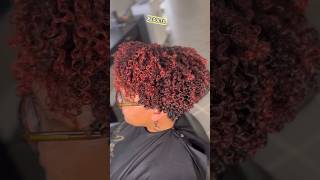 BEST TECHNIQUE FOR CUTTING NATURAL HAIR  CUSTOM TAPER CUT  CURLY HAIR [upl. by Colt]