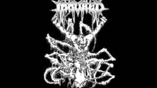 Immured  Buried Alive [upl. by Aber]