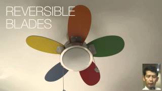 How to Transform the Look of a Room With a Ceiling Fan [upl. by Neenahs]