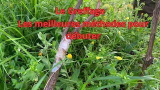 Le greffage les meilleures methodes pour débuter [upl. by Penny191]