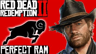 RDR2  Perfect Ram Carcass Location [upl. by Gnil]