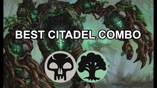 THE PERFECT EXPLORATION COMBO Citadel Deck  MTG Arena  Original Decks  Historic [upl. by Naihtsirc]