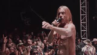 Iggy Pop  Gimme Danger  Desert Daze 2017 [upl. by Marcell781]