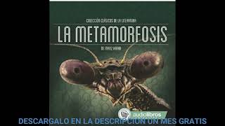 La MetamorfosisaudiolibroFranz Kafka [upl. by Ymmas]