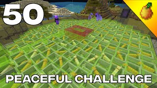 Peaceful Challenge 50 Why We Trapped Hundreds Of Cats In Glass Blocks [upl. by Naillig]