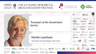 Martin Lauritzen at ARDD2024 Transport at the bloodbrain barrier [upl. by Eilla]