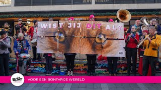 Zo maakten we Fur Free Friday 2024 onvergetelijk [upl. by O'Grady]