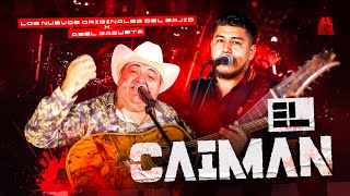 Los Nuevos Originales Del Bajio x Abel Zazueta  El Caiman En Vivo [upl. by Annazor]