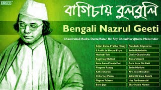 Rim Jhim Rim Jhim  Best Nazrul Geeti Collection  Nazrul Geeti  Bengali Songs of Nazrul [upl. by Hengel]