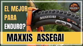 🤔 MAXXIS ASSEGAI  El mejor GRIP de un MTB Tire en el Planeta Maxxis Assegai Review [upl. by Mars]